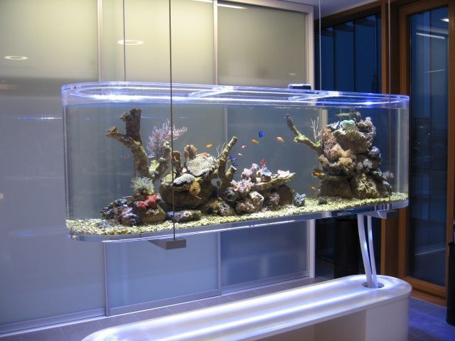 aquarium | Plexiglas.nl