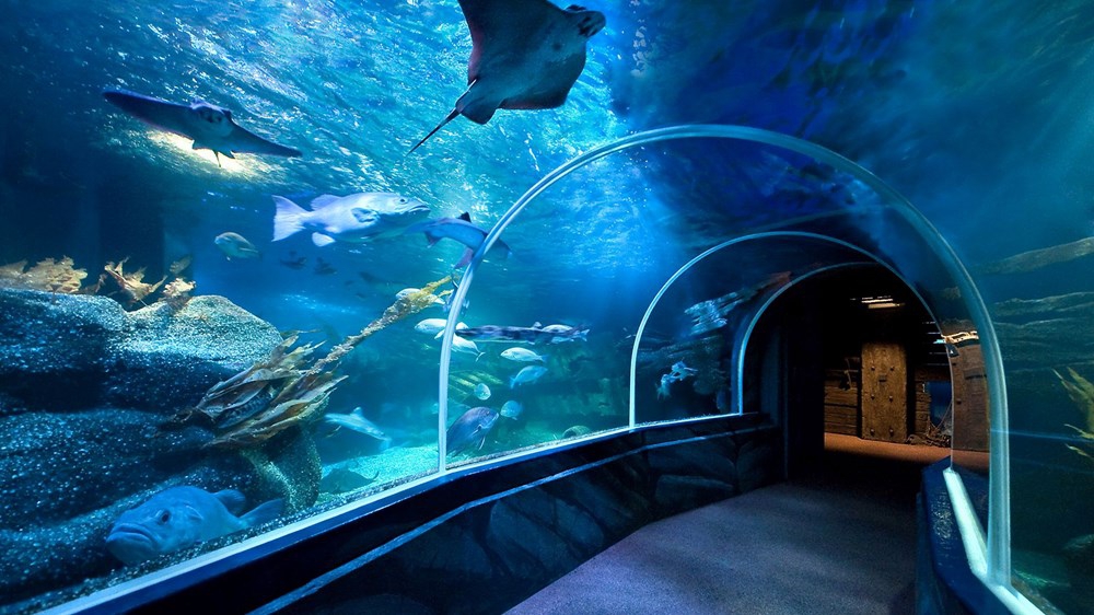 aquarium Plexiglas.nl